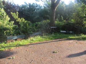 Leerdam, 26  mei 2012 015