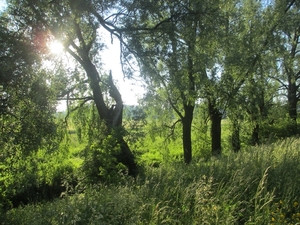 Leerdam, 26  mei 2012 022