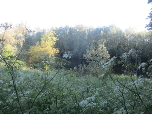Leerdam, 26  mei 2012 024