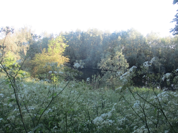 Leerdam, 26  mei 2012 024