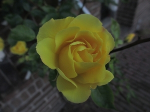 Leerdam, 26  mei 2012 031