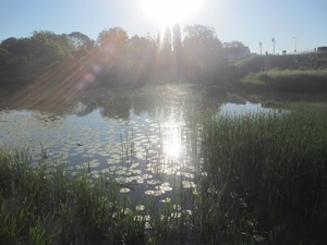 Leerdam, 26  mei 2012 032
