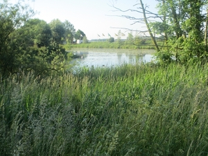 Leerdam, 26  mei 2012 039