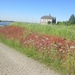 Leerdam, 26  mei 2012 052