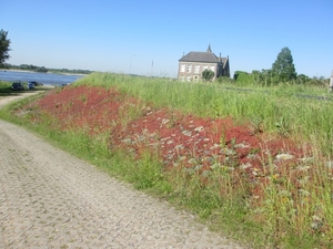 Leerdam, 26  mei 2012 052