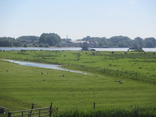 Leerdam, 26  mei 2012 053