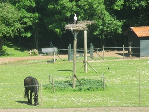 Leerdam, 26  mei 2012 067