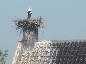 Leerdam, 26  mei 2012 069