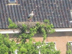 Leerdam, 26  mei 2012 071