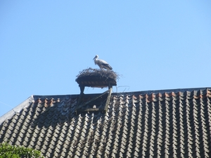 Leerdam, 26  mei 2012 074