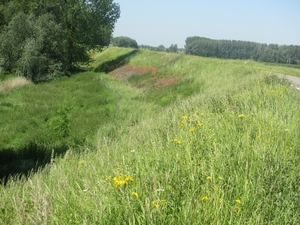 Leerdam, 26  mei 2012 077