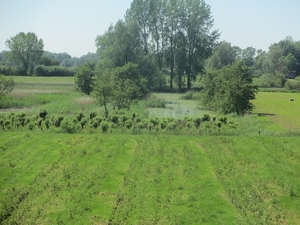 Leerdam, 26  mei 2012 078