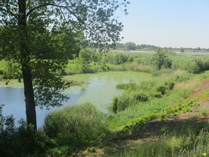 Leerdam, 26  mei 2012 081