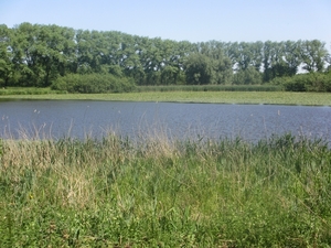 Leerdam, 26  mei 2012 098