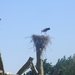 Leerdam, 26  mei 2012 116
