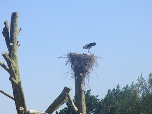 Leerdam, 26  mei 2012 116
