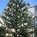 Leerdam, 26  mei 2012 118