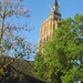Leerdam, 26  mei 2012 028