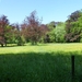 2012-05-26 Erembodegem 001