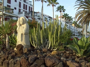 Tenerife.(dec.2011) 013 (Medium)