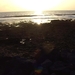 Tenerife.(dec.2011) 017 (Medium)