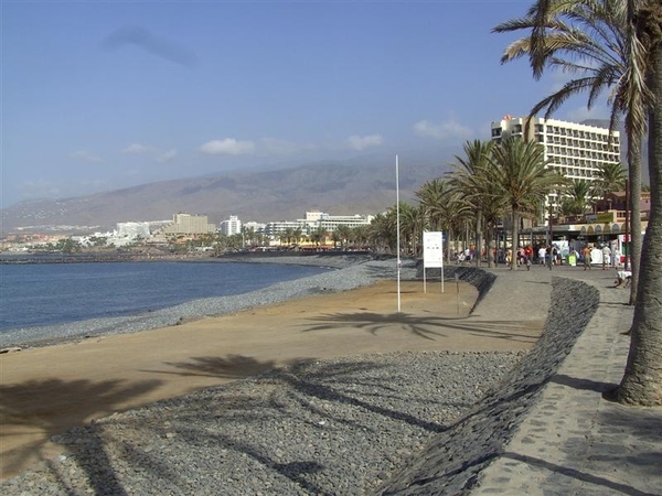 Tenerife.(dec.2011) 042 (Medium)