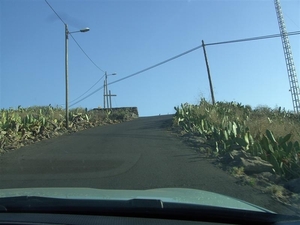 Tenerife.(dec.2011) 051 (Medium)