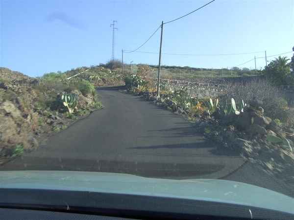 Tenerife.(dec.2011) 054 (Medium)