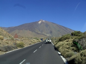 Tenerife.(dec.2011) 077 (Medium)