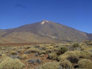 Tenerife.(dec.2011) 082 (Medium)