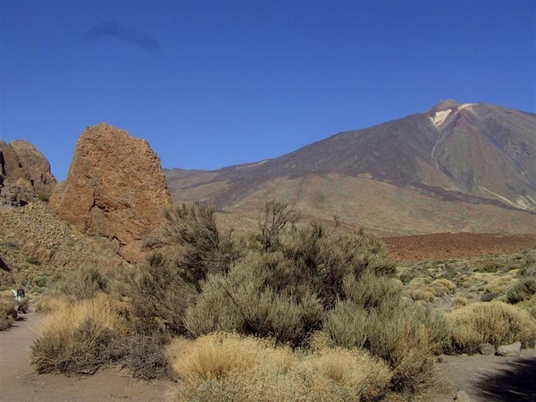 Tenerife.(dec.2011) 089 (Medium)