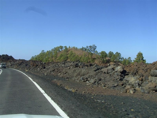 Tenerife.(dec.2011) 104 (Medium)