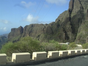 Tenerife.(dec.2011) 111 (Medium)