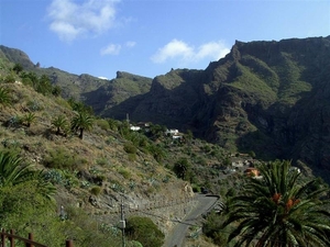 Tenerife.(dec.2011) 128 (Medium)