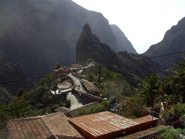 Tenerife.(dec.2011) 129 (Medium)