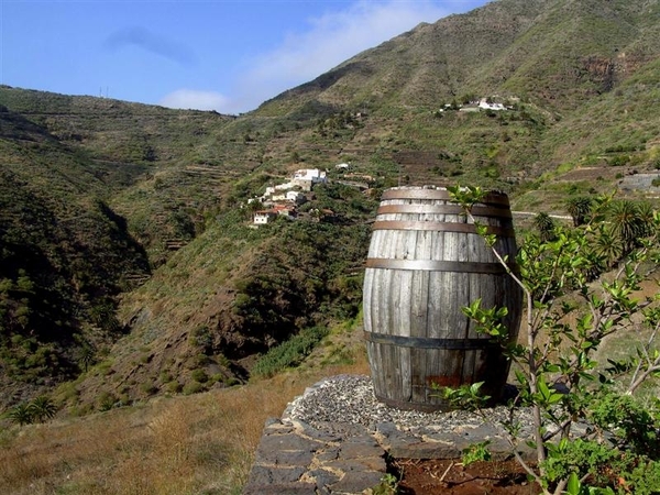 Tenerife.(dec.2011) 137 (Medium)