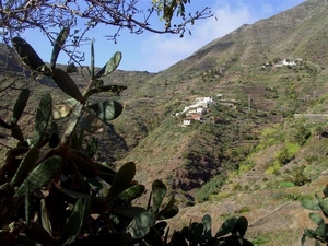 Tenerife.(dec.2011) 138 (Medium)