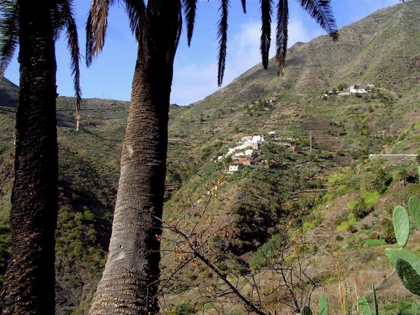 Tenerife.(dec.2011) 139 (Medium)