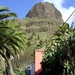 Tenerife.(dec.2011) 143 (Medium)