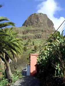 Tenerife.(dec.2011) 143 (Medium)