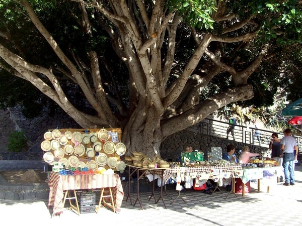 Tenerife.(dec.2011) 144 (Medium)