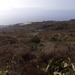 Tenerife.(dec.2011) 150 (Medium)