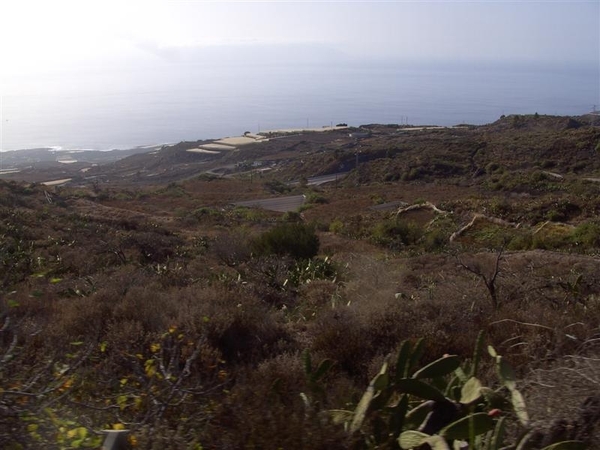 Tenerife.(dec.2011) 150 (Medium)