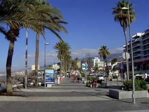 Tenerife.(dec.2011) 157 (Medium)
