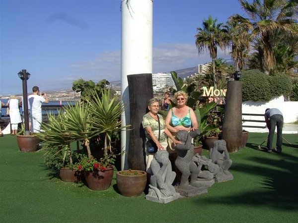 Tenerife.(dec.2011) 159 (Medium)