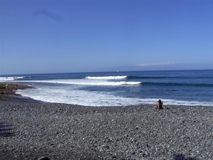 Tenerife.(dec.2011) 174 (Medium)