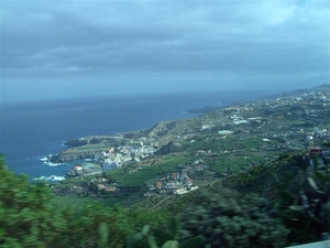 Tenerife.(dec.2011) 199 (Medium)