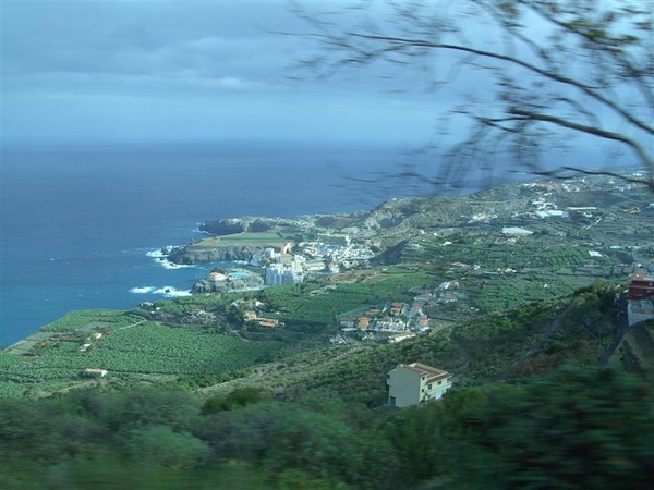 Tenerife.(dec.2011) 200 (Medium)