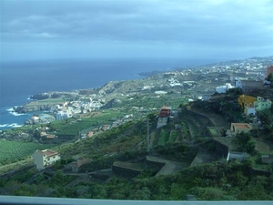 Tenerife.(dec.2011) 201 (Medium)