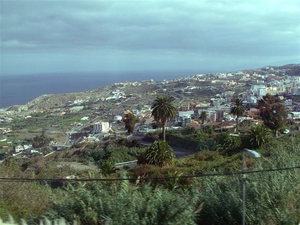 Tenerife.(dec.2011) 202 (Medium)